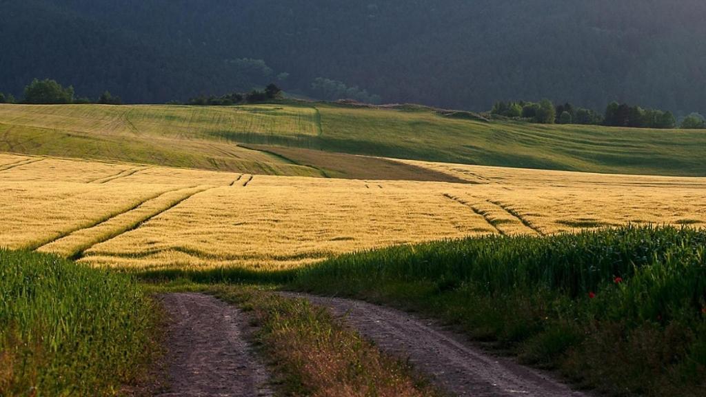 Penzion Mlynarov Dvor Dubrava Екстер'єр фото