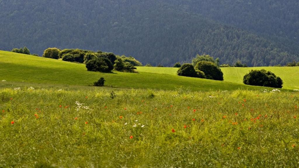 Penzion Mlynarov Dvor Dubrava Екстер'єр фото